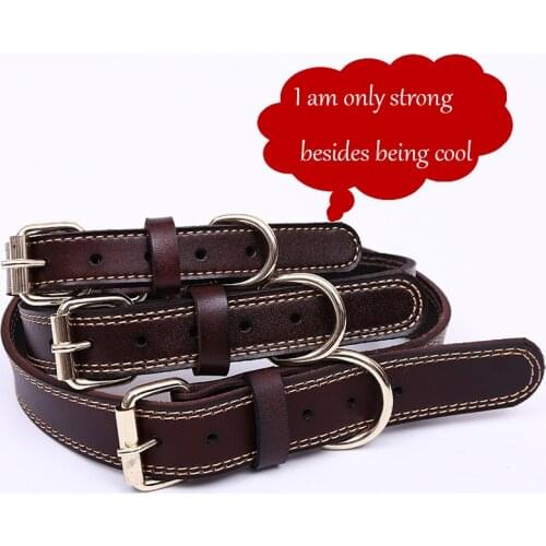 Dog Collar Collars Dog Collars Golden Retriever Labrador Alaska Fighting Teddy Horse Dog German Shepherd Collar