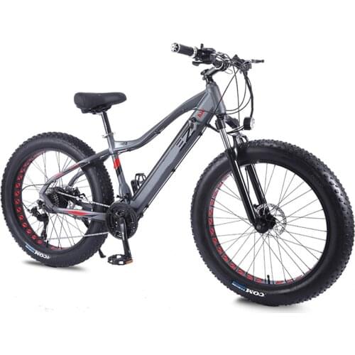 2021 Snow EBike 26 Inch Electric Bike Beach Fat Tire 750W 10ah 48V EBIKE Hidden Battery Brushless Motor 27 Speed Free Shipping
