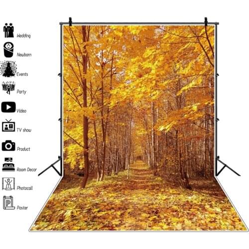Autumn Forest Tree Fallen Leaves Nature Backdrop Landscape Scenery Photography Background Photozone Vinyl Photophones For Photos