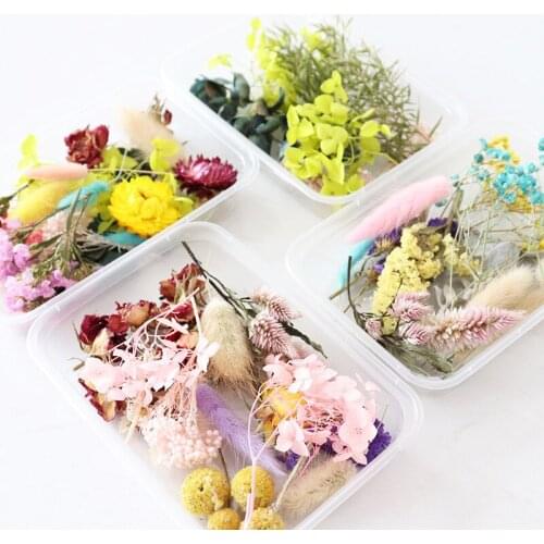 Boxed Real Dried Flower Dry Plants Home Wedding Decor Accessories DIY Craft Supplie Aromatherapy Candle Epoxy Making Materials