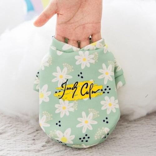 Dog Clothes New Autumn and Winter Puppy Dog Sweater Small Daisy Two-legged Clothes Small and Medium-sized Dogs Cat Pet Clothes