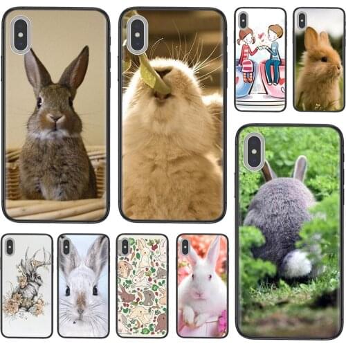 Designs Rabbit For Huawei P50 P40 P30 P20 P10 Lite E Plus Pro P Smart Z 2019 2020 2021 Accessories Pouches Shell Case Men