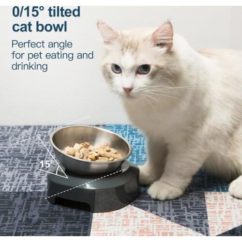 Cat Elevated Stainless Steel Bowl 15 Degree Tilted Raised Neck Care Food Feeder Nonslip Pet Feeding Bowls for Cat and Small Dogs