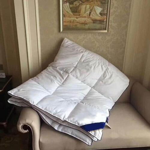 Winter Warm Thicken Comforter Duvet Quilt Core Down Fabric Microfiber Fill Washable Bedding Set Alternative Duvet for Home