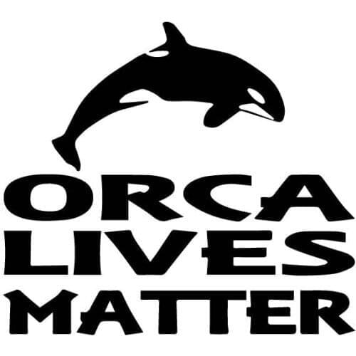 16cm*14cm The Life of Creative Orca Is Very Important Fashion Car Sticker Pvc Interesting Auto Body Decal Waterproof Decoration