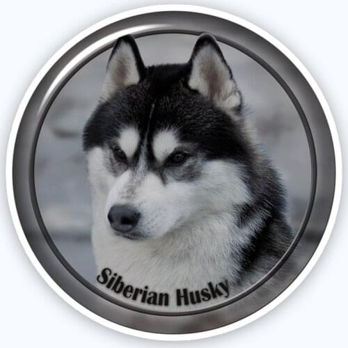 A0676# Various Sizes Removable Decal Siberian Husky 88 Sticker Waterproof Accessories on Bumper Rear Window Laptop