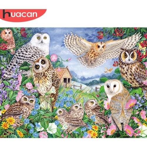 HUACAN 5d Diamond Art Painting Owl Mosaic Animal Home Decor DIY Diamond Embroidery Flower Handicraft Rhinestones Pictures