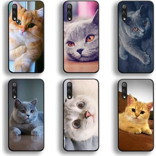 British Shorthair Cat Phone Case For Huawei Honor 30 20 10 9 8 8x 8c v30 Lite view 7A pro