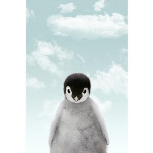 Tamtam Store Little Penguin for Children Matte Photo Paper Blue Background 30x40 cm