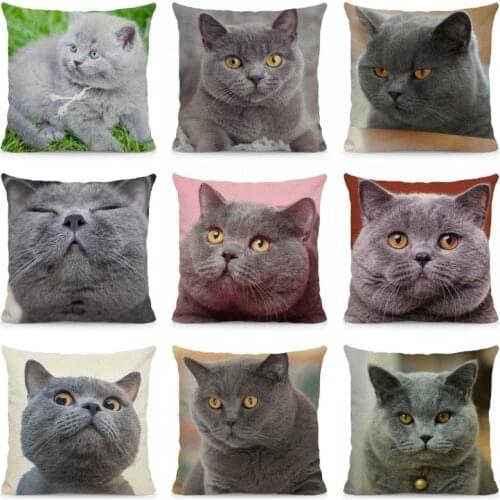 Cute British Shorthair Cat Pattern Cushion Cover 45x45cm Animal Print Home Decorative Pillow Case DWM020