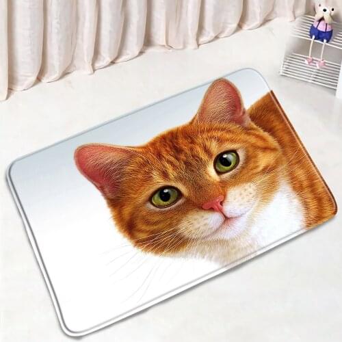 Funny Animal Bathroom Mats Cute Pet Cat Brown Pattern Non-Slip Floor Rugs Flannel Suede Home Decor Bath Kitchen Doorway Carpet