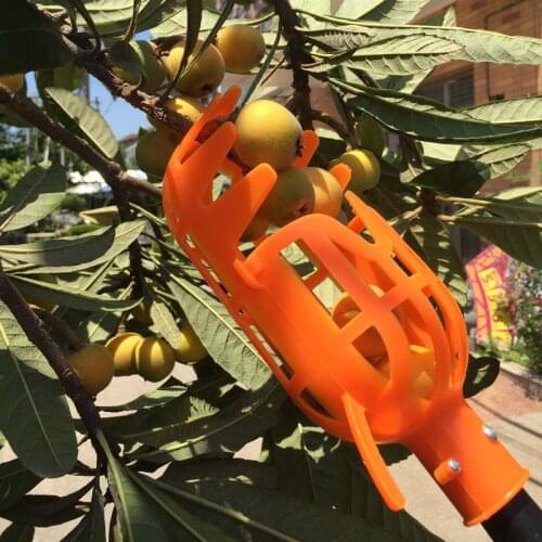Garden Tools Fruit Picker Head PlasticFruit Picking Tools Fruits Catcher Picking Apple Citrus Pear Peach Hand Tools
