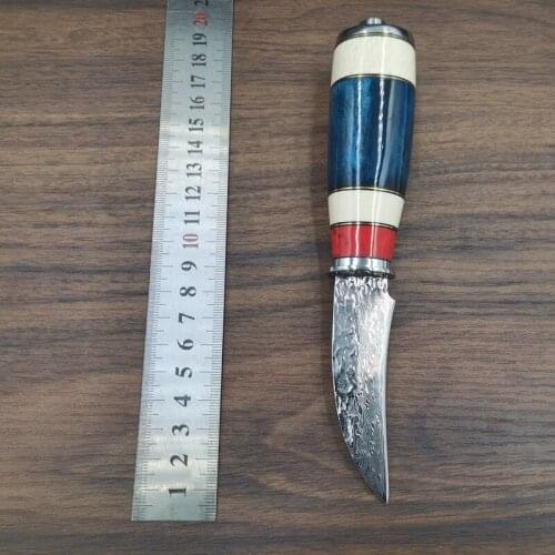 Small Damascus Steel Blade EDC Knife Sharp Outdoor Camping Tool with Horn Handle Hunting Straight Knife Collection