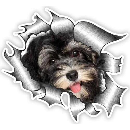B0207 Self-adhesive Decal Havanese Pet Dog Puppy Motif Car Sticker Waterproof Auto Decors on Bumper Rear Window