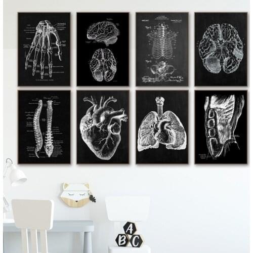 Nordic Posters Muscle Bone Heart Anatomy Skeleton Wall Art Canvas Painting Prints Wall Pictures For Doctor Office Decor