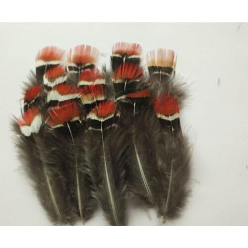 New! sale high 20 pc Natural pheasant feathers,2-3inches / 5-7cm, DIY decorative handicrafts