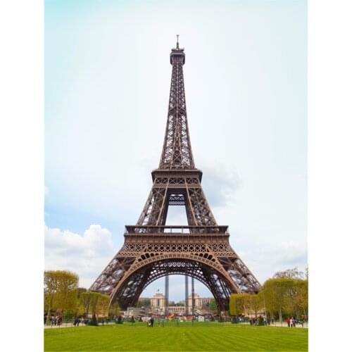 ZHISUXI Vinyl Custom Photography Backdrops Prop Eiffel Tower Paris Theme Photography Background #20315-3