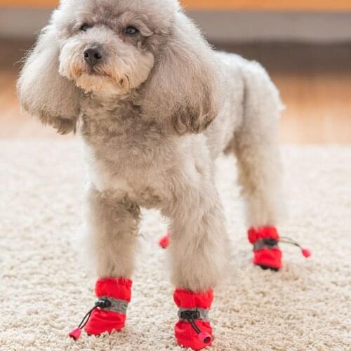 Обувь для собак Mic Cat China At AliExpress