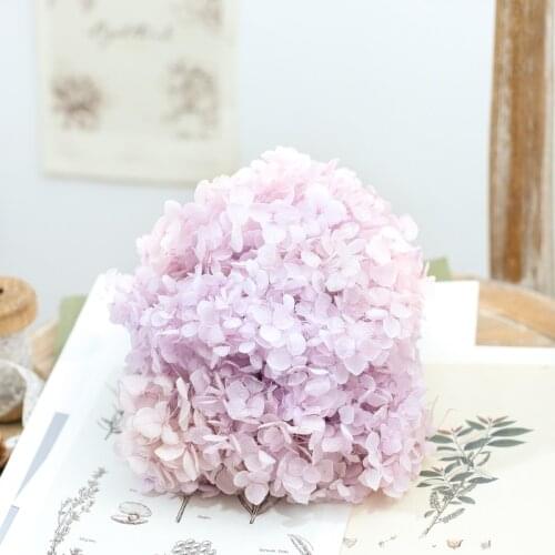 Dried flower Taro powder 20G DIY material Grade A Anna Folium Hydrangea polychrome wedding decoration table