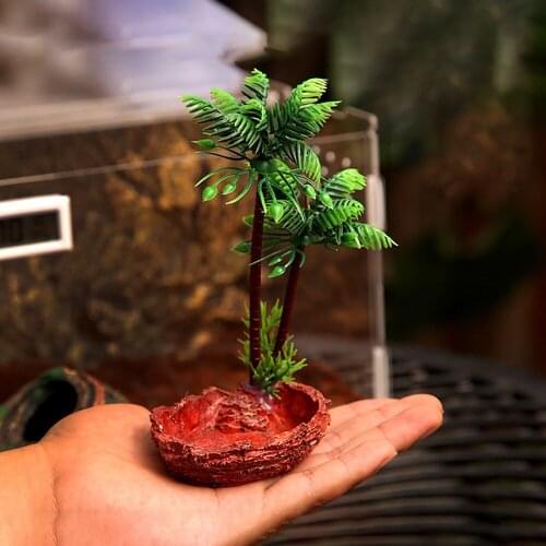 Sturdy Water Dish Water Bowl Feeding Tray Compartment Tray for Gecko Lizard Snake Reptiles Tortoise Turtle Assorted Shape