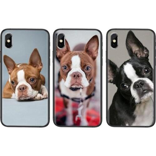 Sales Boston Terrier Slim Protector Phone Bags Shell For Xiaomi Mi11 Mi 11 Pro Ultra Lite 10T 10S Mi9 Poco X3 NFC F3