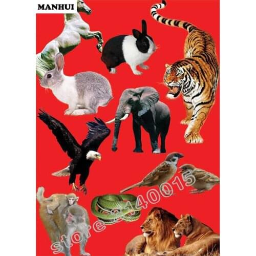 5d diy diamond Animal Society pattern Cross Stitch diamond painting square animal embroidery beads patterns picture BFC098