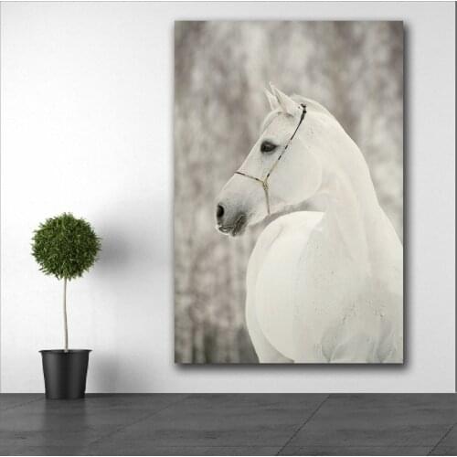 Large size Printing one handsome white horse beautful 4 wall art canvas print pictures for living room and bedroom No Frame