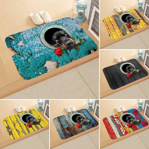 Doormat 3D Animal Dog Print Bathroom Anti-slip Absorb Water Bath Mat Bathroom Kitchen Bedroon Floor Mat Entrance 40*60cm DD-0085