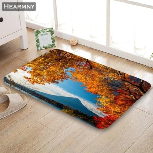 Nice Fujiyama Doormat Outdoor Floor Mat Home Creative Mat Super Soft Absorbent Bathroom Door Entrance Mat 40X60cm,50x80cm