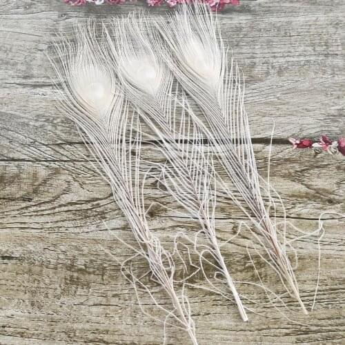 Pretty 10 PCS Beige Wholesale Natural Peacock Feathers 25-30 cm/10-12 inches Home Wedding Party Decoration