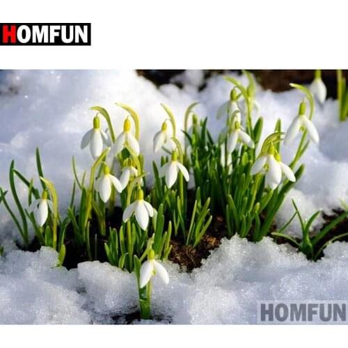HOMFUN Full Square/Round Drill 5D DIY Diamond Painting "Snow flower" 3D Diamond Embroidery Cross Stitch Home Decor A19080