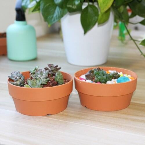 Succulent Flower Pot Mini Potted Plants Planters Office Decoration Garden Home Accessories SCVD889