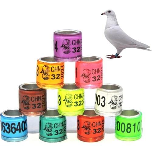 2021 Hot New High Quality 20Pcs Pigeon Foot Ring With Word Earrings Durable Bird Ring Pheasant Foot Ring Multicolor Bird Tools