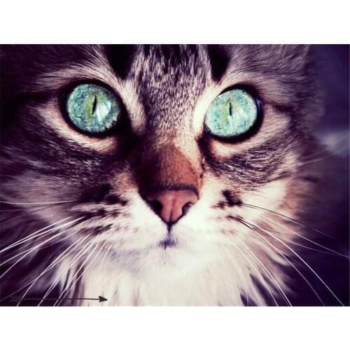 Cat Animal Printed Water-Soluble Canvas 11CT Cross Stitch DIY Embroidery Complete Kit DMC Threads Handiwork Craft Counted