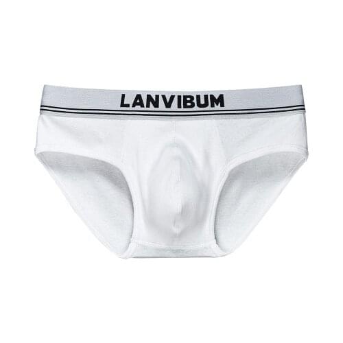 2020 Brand LANVIBUM Solid Underwear Mens Mid-Waist Thread Cotton Briefs Male Sexy Underpants