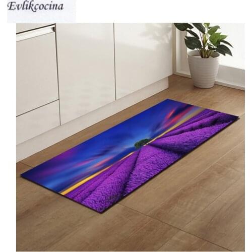 Free Shipping Rugs And Carpets Purple Lavender Door Floor Tapetes Para Casa Sala Carpet For Toliet Non Slip Alfombra Bano