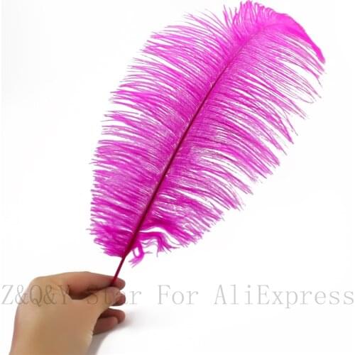 Natural 10-100PCS ostrich hair 40-45CM (16-18 inches) dyed rose red DIY craft jewelry decoration jewelry clothing feather