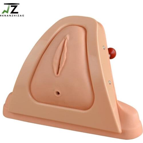 Medical Teaching Perineum Cutting and Suturing Training Simulator