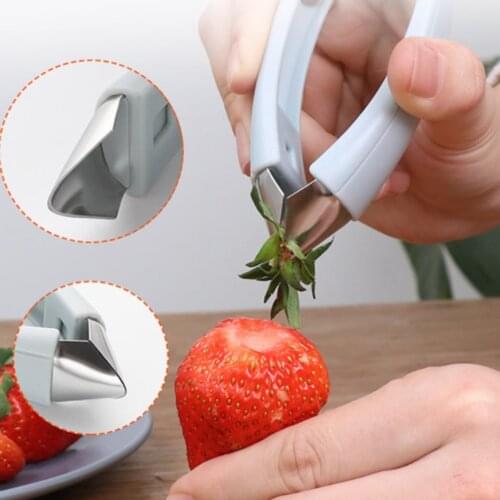 Stainless Steel Cutter Practical Seed Remover Pineapple Eye Peeler Fruit Vegetable Carrot Tomato Tweezers Home Kitchen Tool