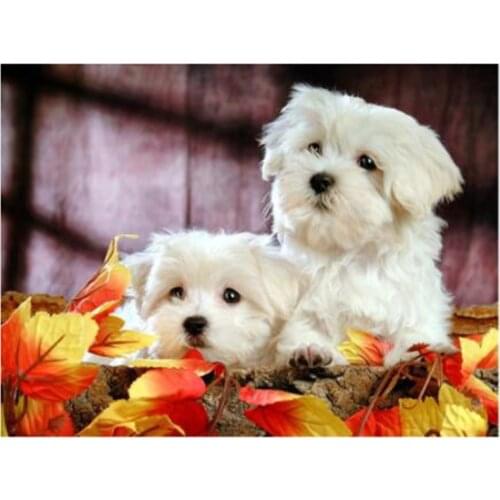 Full 5D Diy Diamond Painting Animal Cute "Two White Dogs" Full Round Rhinestones Embroidery Cross Stitch Decoration FC587