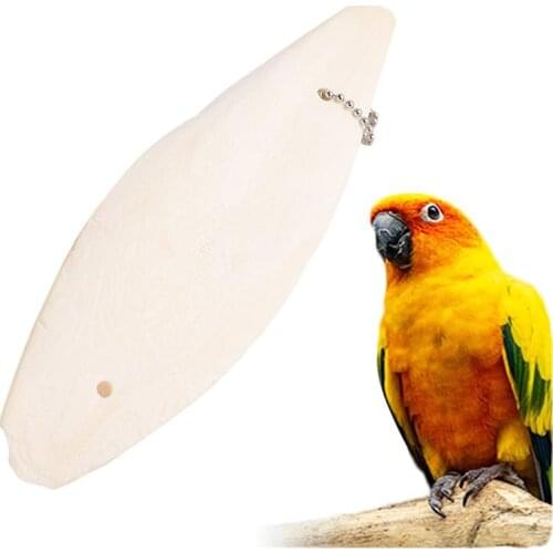 3 Pcs 18-20cm Parrot Toy Hanging Cuttlebone Pendant Pet Training Chewing Molar Toy Calcium Teeth Grinding Cuttlebone