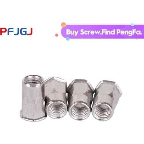 Peng Fa M4M5M6M8M10M12 stainless steel 304 small countersunk head inside and outside hexagonal riveting nut rivet