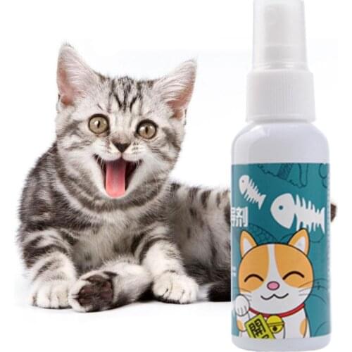 50ml Cat Catnip Spray Pet Training Toys Organic Natural Healthy Kitten Cat Mint Funny Scratching Toy Pet Accessories C42