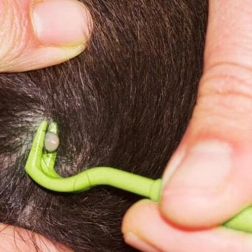 1PC Pets Tick Removal Tool Dual Teeth Tick Twister Cats Dogs Cleaning Supplies Mites Twist Hook Remover Hook Pet Supplies