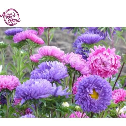 5D DIY Diamond Embroidery flower Patterns Rhinestone Bedroom Decoration Full square Diamond Mosaic Painting Crafts