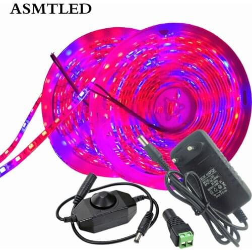 5050 Plant LED Grow Light Full Spectrum Phyto Strip Lamp 1-5M 10m Red Blue Plants Grow Tape + 12V Power Adapter Dimmer Connector