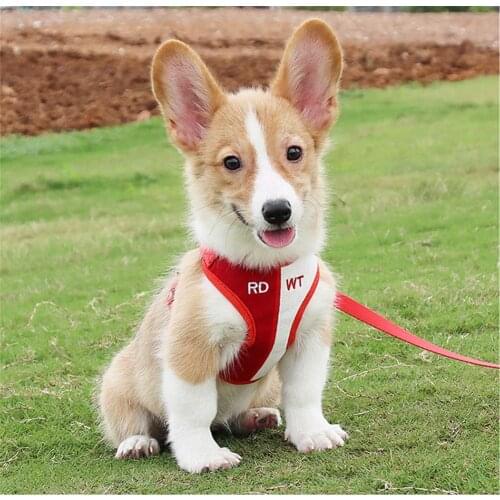 Шлейки VOTFRKO China At AliExpress