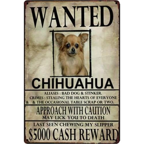 [ Kelly66] Chihuahua Dogs Wanied Metal Sign Tin Poster Home Decor Bar Wall Art Painting 20*30 CM Size y-2098