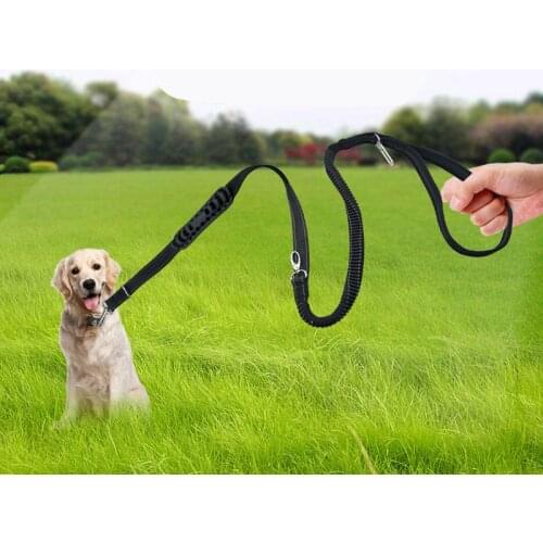 Gomaomi Pet Dog Leash Seat Belt Adjustable Cat Safety Leads Vehicle Car Seatbelt Harness with Elastic Bungee Buffer