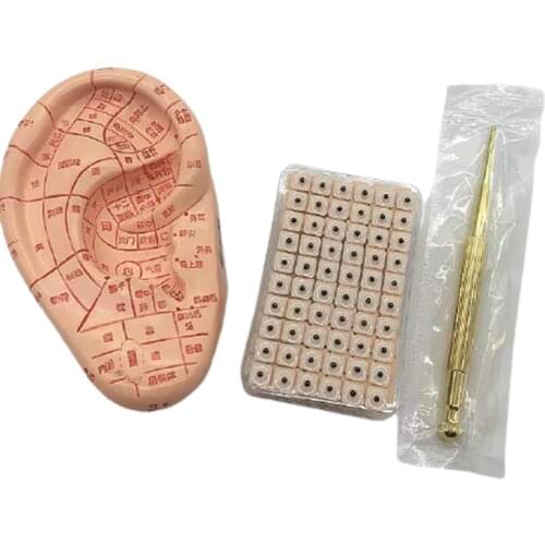 3 In 1 Auricular Paster Ear Therapy Massage Pen Probe Press Ears Vaccaria Sticker + Ear Model + 600 Acupoint Seeds
